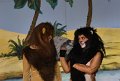 Lionking 0503